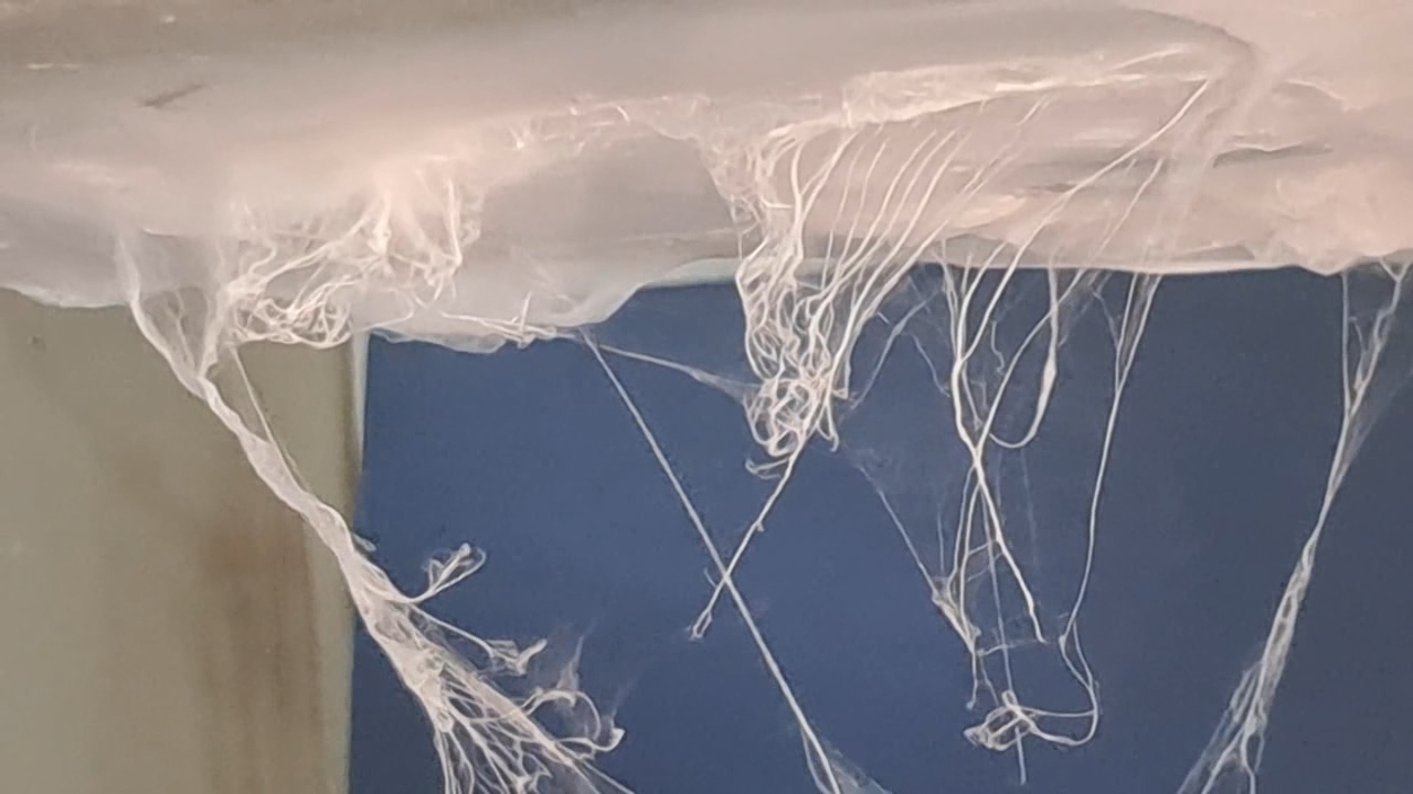 Electrospinning: Solutions of Polystyrene and Polyvinylidene Difluoride in Dimethylformamide